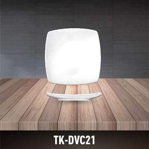 Porcelain 3D Square Plate TK-DVC21