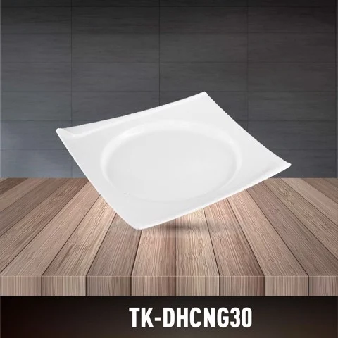 Porcelain 3D Rectangle Plate TK-DHCNG30
